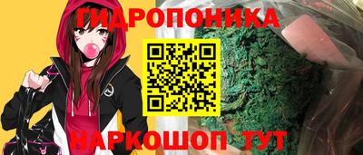 шишки Изобильный