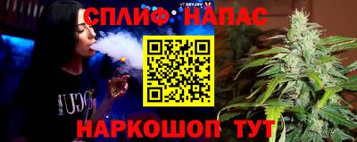 шишки Изобильный