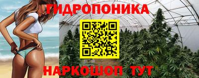 не бодяженный Жуковский