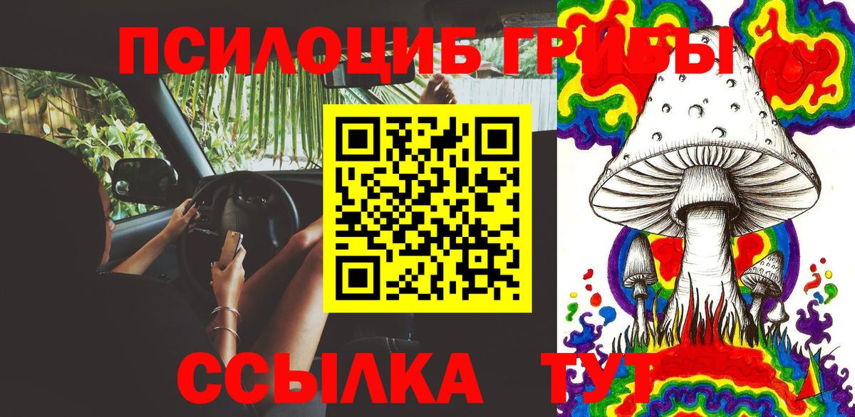 Псилоцибиновые грибы Psilocybine cubensis Люберцы