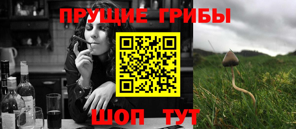 Люберцы  Галлюциногенные грибы мицелий  Вход с VPN 